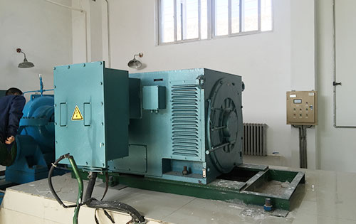 Y4003-4某水电站工程主水泵使用我公司高压电机