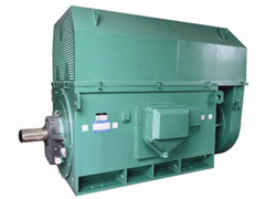 Y4003-4Y系列6KV高压电机