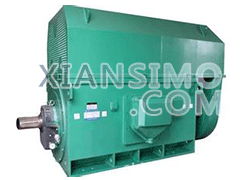 Y4003-4YXKK(2极)高效高压电机技术参数