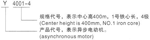 西安泰富西玛Y系列(H355-1000)高压Y4003-4三相异步电机型号说明